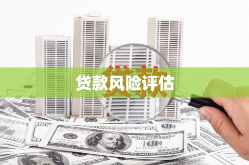 盐源贷款风险评估