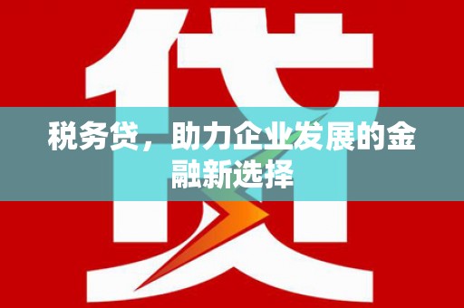盐源税务贷，助力企业发展的金融新选择