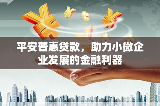 盐源平安普惠贷款，助力小微企业发展的金融利器