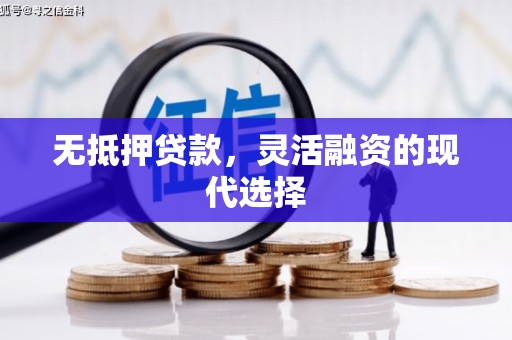 盐源无抵押贷款，灵活融资的现代选择