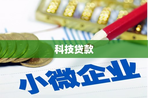 盐源科技贷款