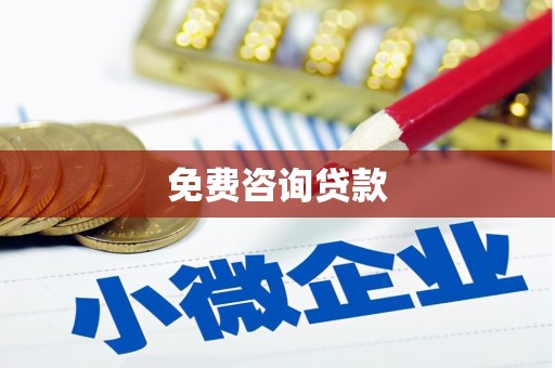 盐源免费咨询贷款