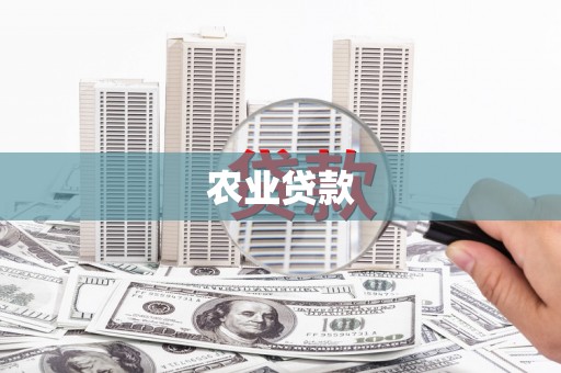 盐源农业贷款