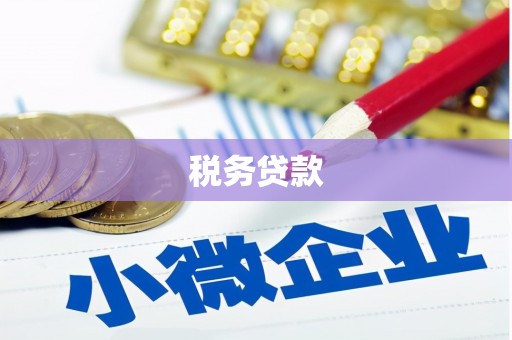 盐源税务贷款