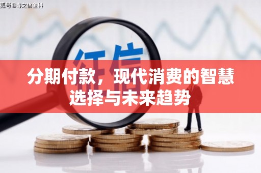盐源分期付款，现代消费的智慧选择与未来趋势