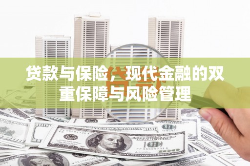 盐源贷款与保险，现代金融的双重保障与风险管理