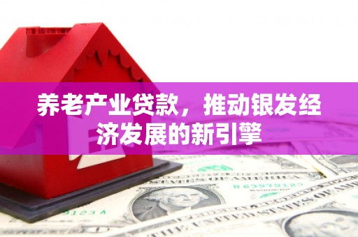 盐源养老产业贷款，推动银发经济发展的新引擎