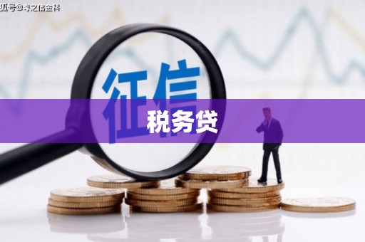 盐源税务贷