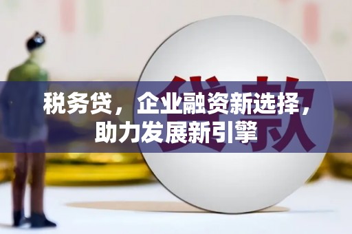 盐源税务贷，企业融资新选择，助力发展新引擎