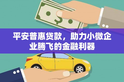 盐源平安普惠贷款，助力小微企业腾飞的金融利器