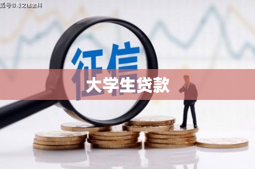 盐源大学生贷款