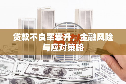 盐源贷款不良率攀升，金融风险与应对策略