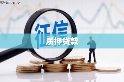 盐源质押贷款