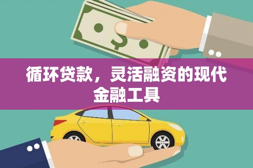 盐源循环贷款，灵活融资的现代金融工具