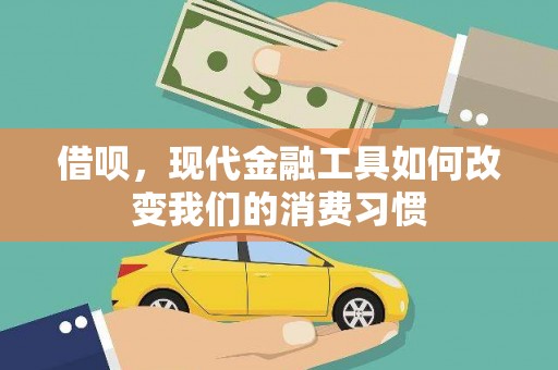 盐源借呗，现代金融工具如何改变我们的消费习惯