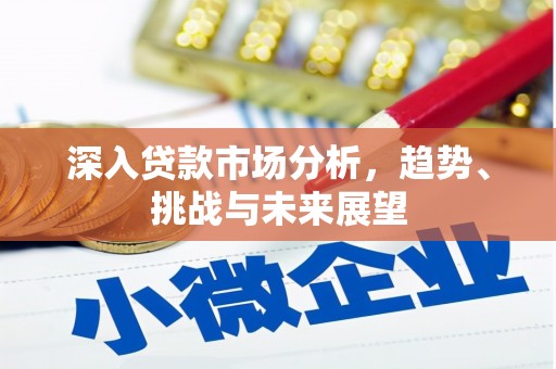 盐源深入贷款市场分析，趋势、挑战与未来展望