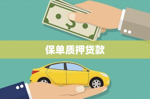 盐源保单质押贷款