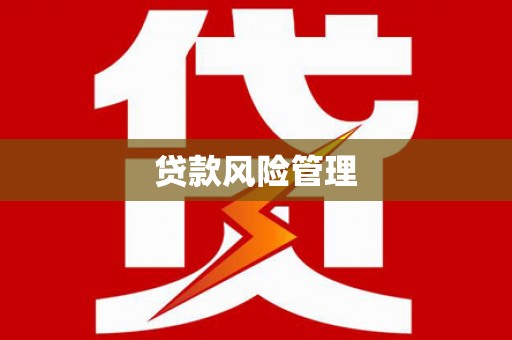 盐源贷款风险管理
