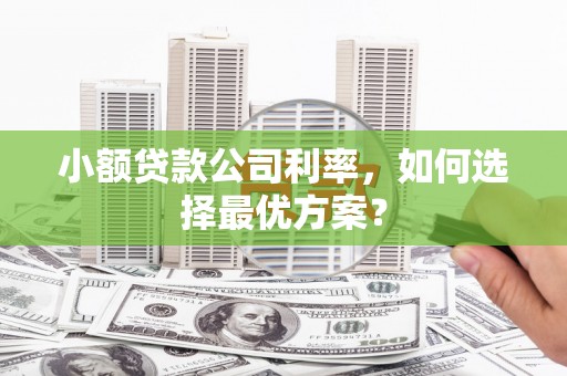 盐源小额贷款公司利率，如何选择最优方案？