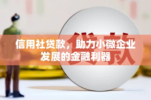 盐源信用社贷款，助力小微企业发展的金融利器