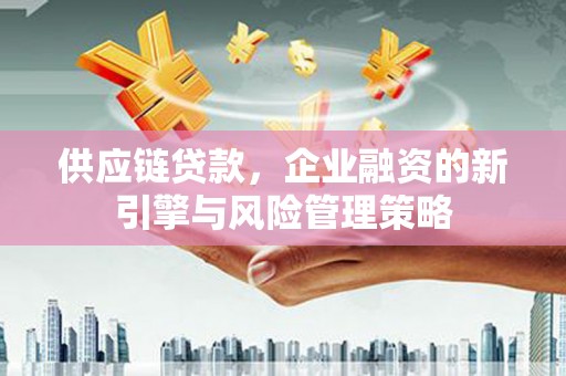 盐源供应链贷款，企业融资的新引擎与风险管理策略