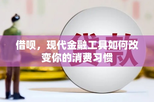 盐源借呗，现代金融工具如何改变你的消费习惯