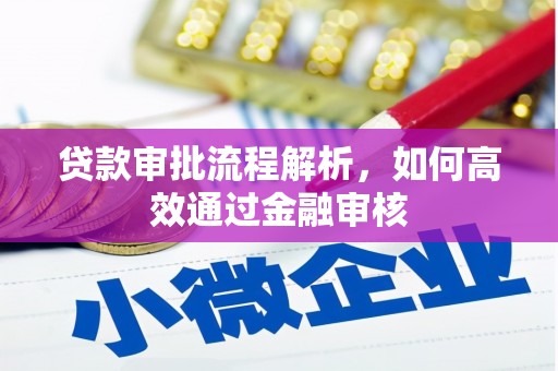盐源贷款审批流程解析，如何高效通过金融审核