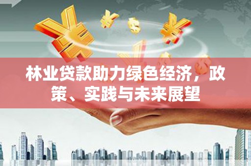 盐源林业贷款助力绿色经济，政策、实践与未来展望