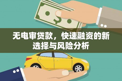 盐源无电审贷款，快速融资的新选择与风险分析