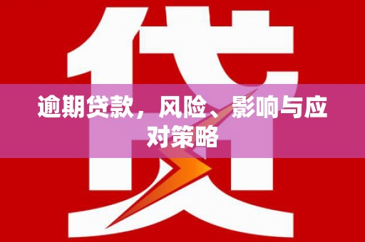 盐源逾期贷款，风险、影响与应对策略