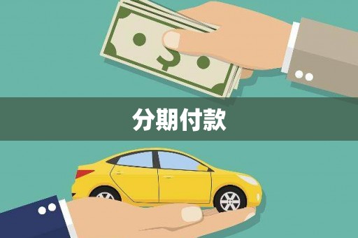 盐源分期付款