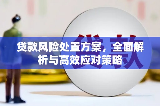 盐源贷款风险处置方案，全面解析与高效应对策略