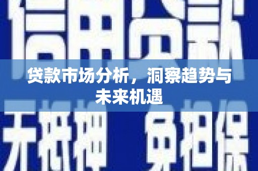 盐源贷款市场分析，洞察趋势与未来机遇