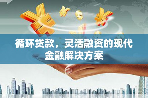 盐源循环贷款，灵活融资的现代金融解决方案