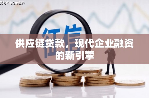 盐源供应链贷款，现代企业融资的新引擎
