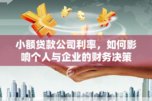 盐源小额贷款公司利率，如何影响个人与企业的财务决策