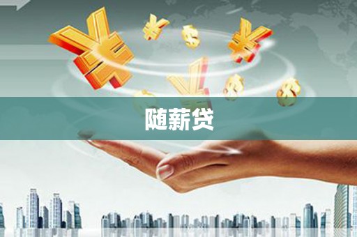 盐源随薪贷