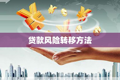 盐源贷款风险转移方法
