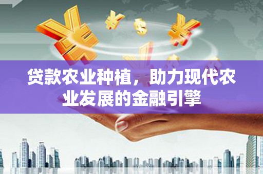 盐源贷款农业种植，助力现代农业发展的金融引擎
