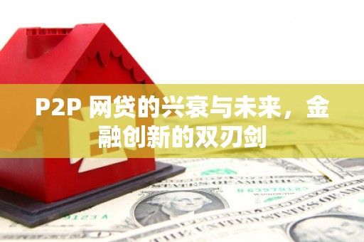 盐源P2P 网贷的兴衰与未来，金融创新的双刃剑