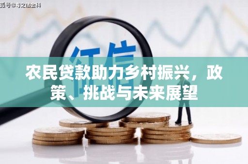 盐源农民贷款助力乡村振兴，政策、挑战与未来展望