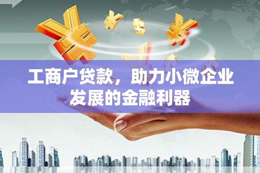 盐源工商户贷款，助力小微企业发展的金融利器