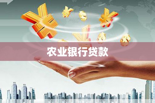 盐源农业银行贷款