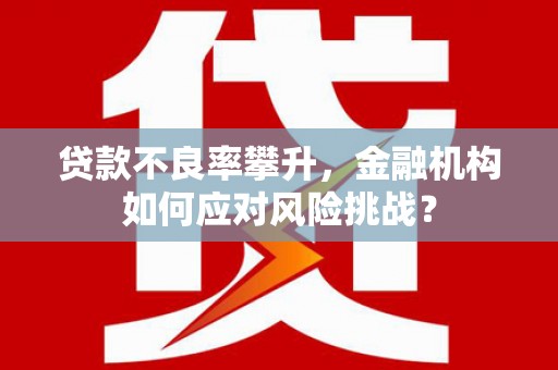 盐源贷款不良率攀升，金融机构如何应对风险挑战？