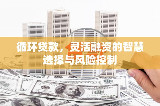 盐源循环贷款，灵活融资的智慧选择与风险控制