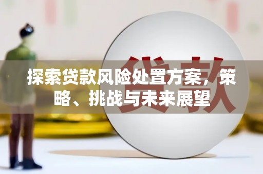 盐源探索贷款风险处置方案，策略、挑战与未来展望