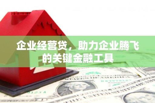盐源企业经营贷，助力企业腾飞的关键金融工具