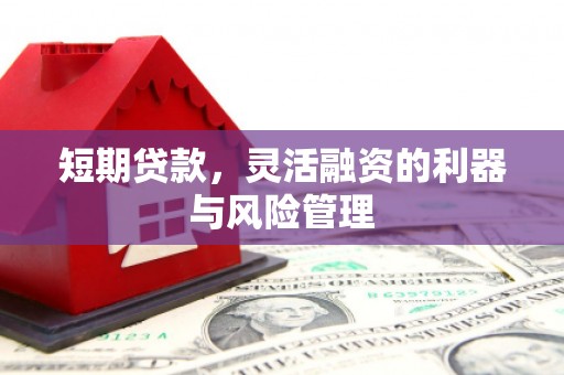 盐源短期贷款，灵活融资的利器与风险管理