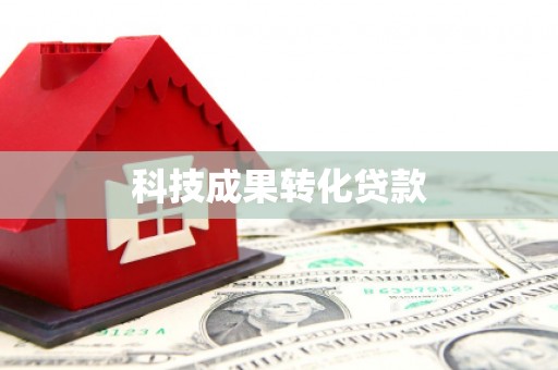 盐源科技成果转化贷款