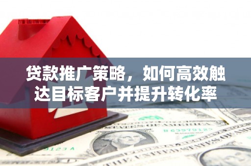 盐源贷款推广策略，如何高效触达目标客户并提升转化率